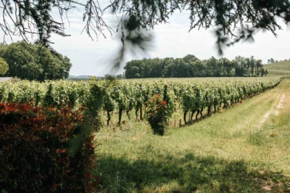 Visite Dégustation Prestige - Anglais - app.name