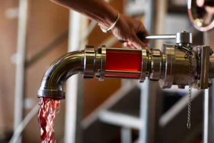 Visite des chais et dégustation - app.name