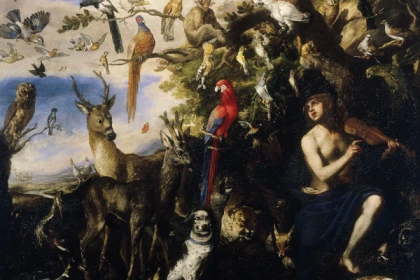 VISITE DES COLLECTIONS DU GÉNÉRAL DONZELOT - app.name