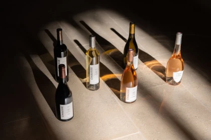 Visit of the Château de Chausse - Bonjour Fun