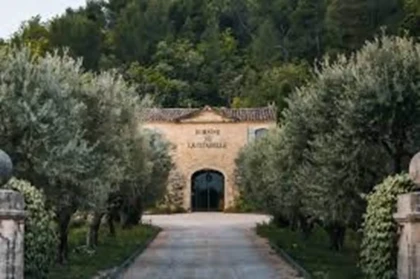 VISITE ET DEGUSTATION DOMAINE VITICOLE - app.name