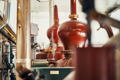 Visite guidée approfondie - app.name