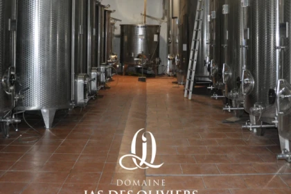 Visite guidée du domaine - Jas des Oliviers - app.name