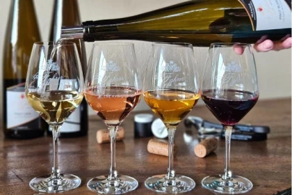 Visite guidée du domaine viticole en Alsace - app.name