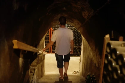 Visite Immersion - Champagne Alfred TRITANT - app.name