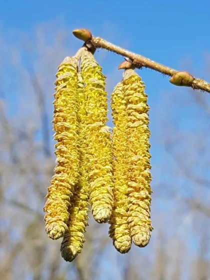 Visite longue gourmande par le créateur de l'entreprise - 20 produits dégustés - app.name