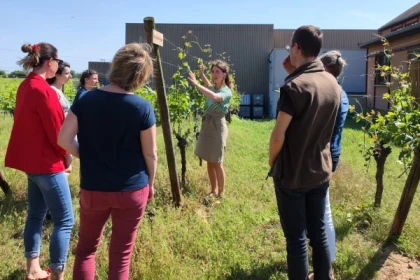 Visite Origin'Alsace - "Découvrez des cuvées originales" - app.name