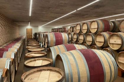 Wine tour à St-Emilion - app.name