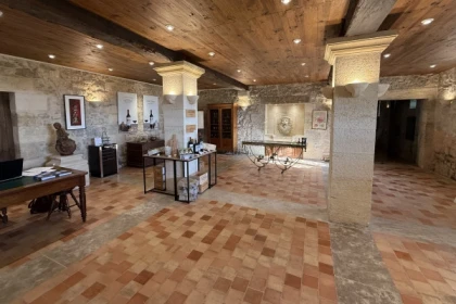 Wine tour en privé au départ de St-Emilion (1 à 8 pers.) - app.name