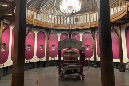 Private day tour from St-Emilion (Minivan or Sedan) - Bonjour Fun