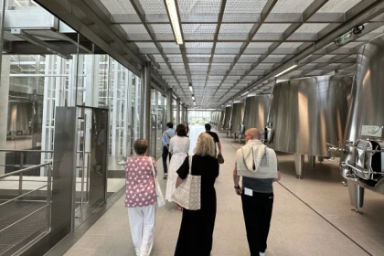 Medoc tour in a small group (Luxury Mercedes EQV) - Bonjour Fun