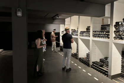 Medoc tour in a small group (Luxury Mercedes EQV) - Bonjour Fun