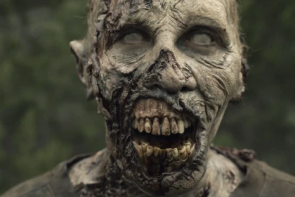 Zombie Race - Saint Raphael - app.name