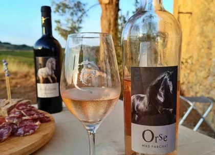 Dégustation de vin et de tapas en pleine nature - app.name