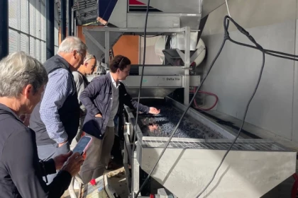 Médoc & Margaux Wine Tour: Classified Growths - Bonjour Fun