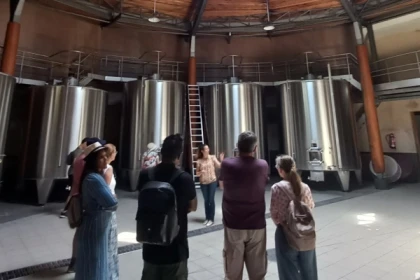 Bordeaux wine tour off the beaten path - Bonjour Fun
