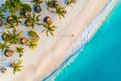 Exquisite Zanzibar Adventure - app.name