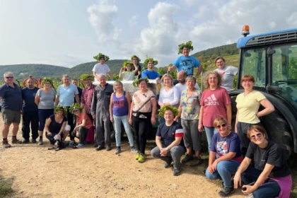 Grape-picker for a day - Bonjour Fun