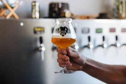 Partir en quête des secrets de la bière à Cordes sur Ciel - app.name