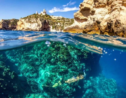 Rando palmée : Adulte Solo ou Duo - 3h - app.name