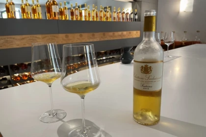 Tour privé des vignobles Bordelais au départ d'Arcachon - app.name