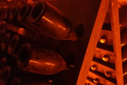 La Champenoise  Wine tourism 1/2 day - Bonjour Fun