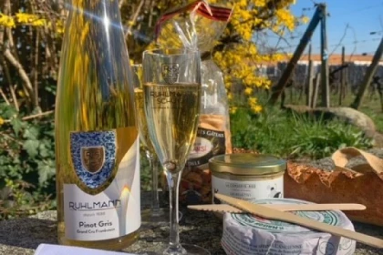 Wine & gourmet walk - Bonjour Fun