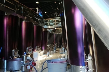 Wine tour à St-Émilion - app.name