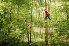 Tree climbing - Bonjour Fun