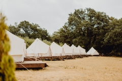 Unusual night - Bonjour Fun