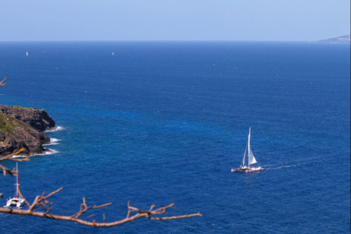 1/2 journey in Catamaran from Cavalaire - Bonjour Fun