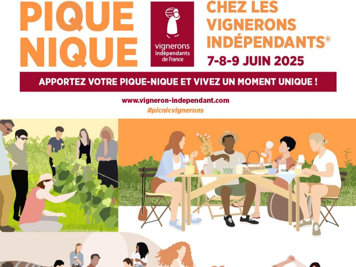 1/2 Journée - Pique Nique chez le Vigneron 7 , 8 et 9 Juin - Bonjour Fun