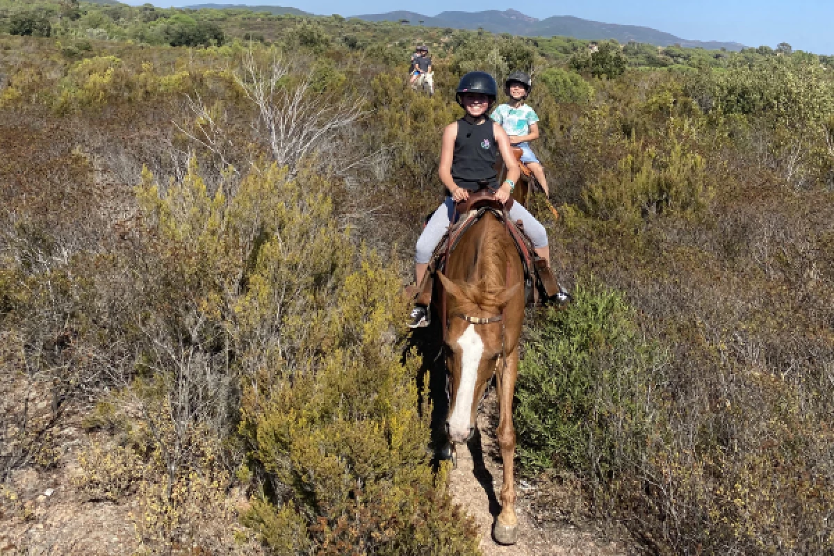 1h horseback riding in the Esterel massif - Bonjour Fun