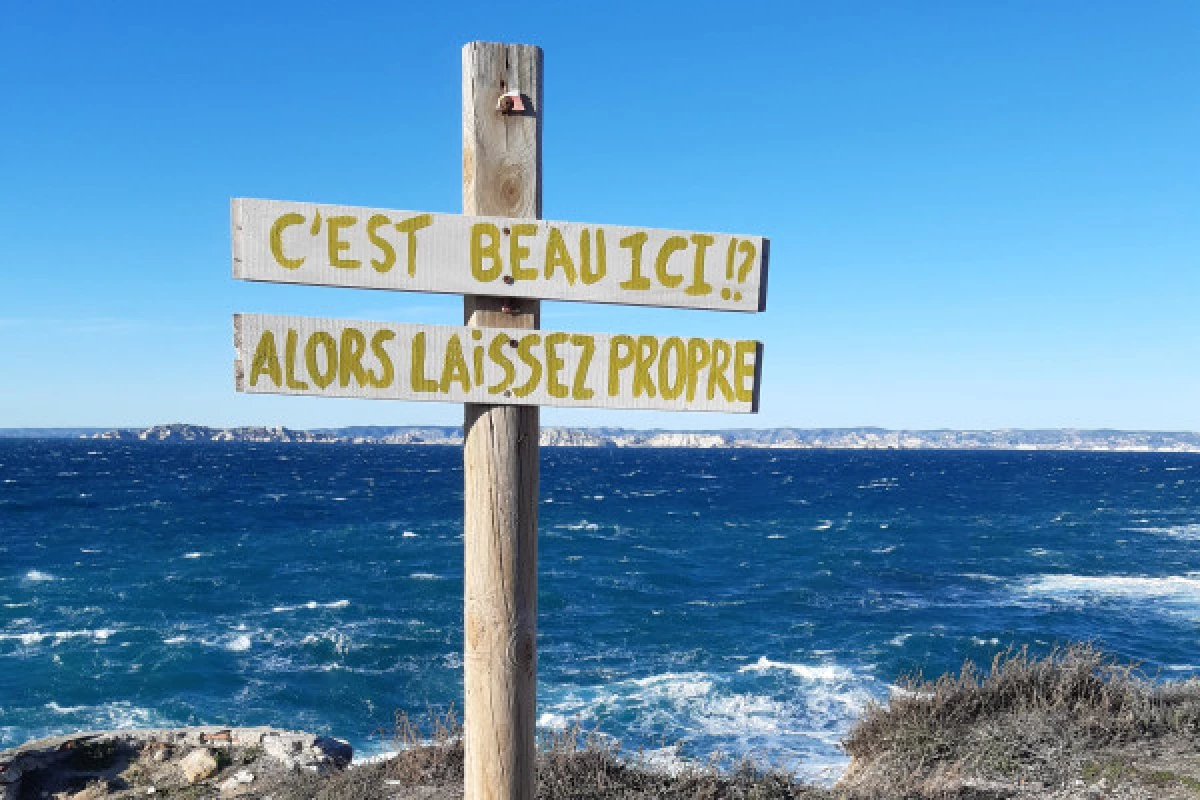 2-hour ecological tour: the biodiversity of Marseille's islands - Bonjour Fun