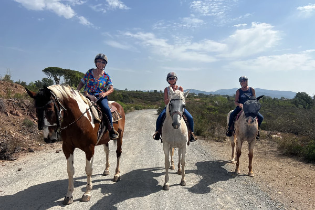 Two hours horse riding in the Esterel massif - Bonjour Fun