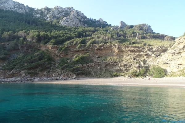 4. Dolphin watching boat tour - Bonjour Fun