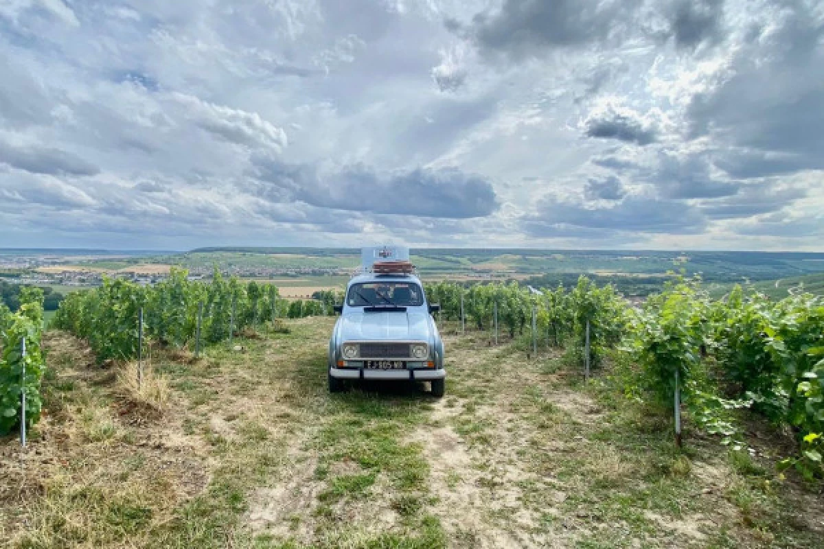 4L or 2CV Champagne Tour - Epernay - Bonjour Fun