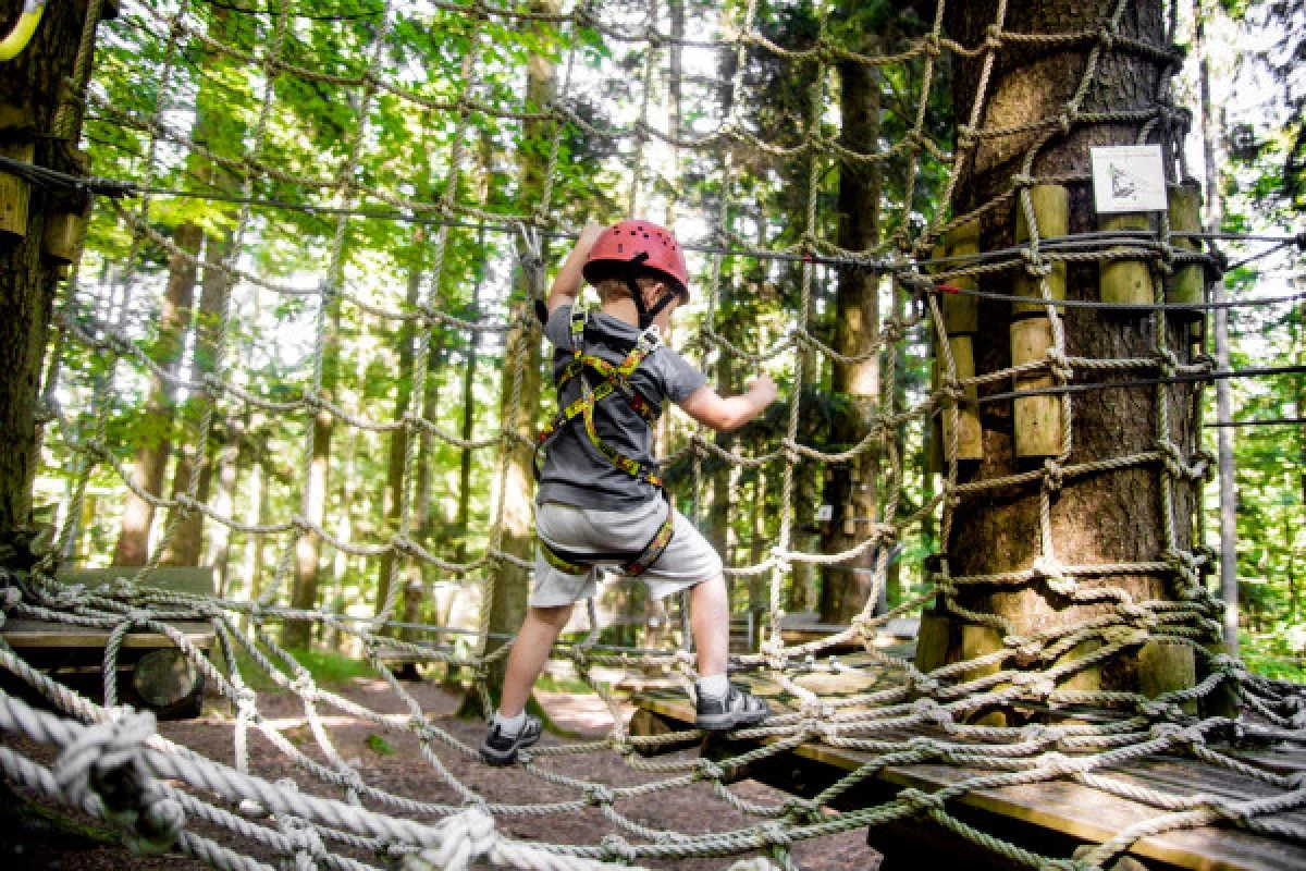 High rope course and zip lines - Parc Alsace Aventure - Bonjour Fun