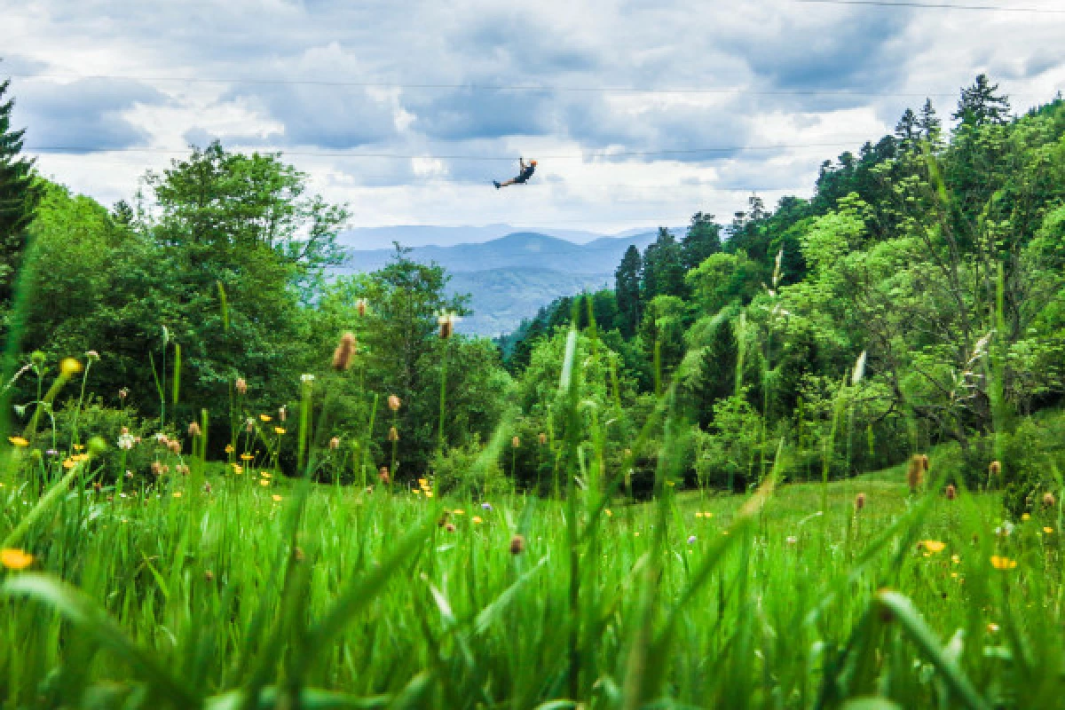 High rope course and zip lines - Parc Alsace Aventure - Bonjour Fun