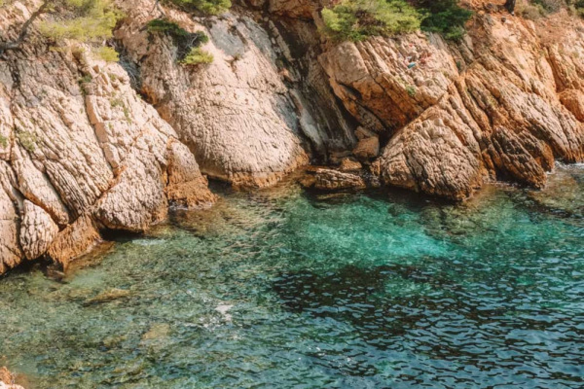 Afternoon cruise : The secret Calanques of Marin park of the Blue Coast (rvd) - Bonjour Fun