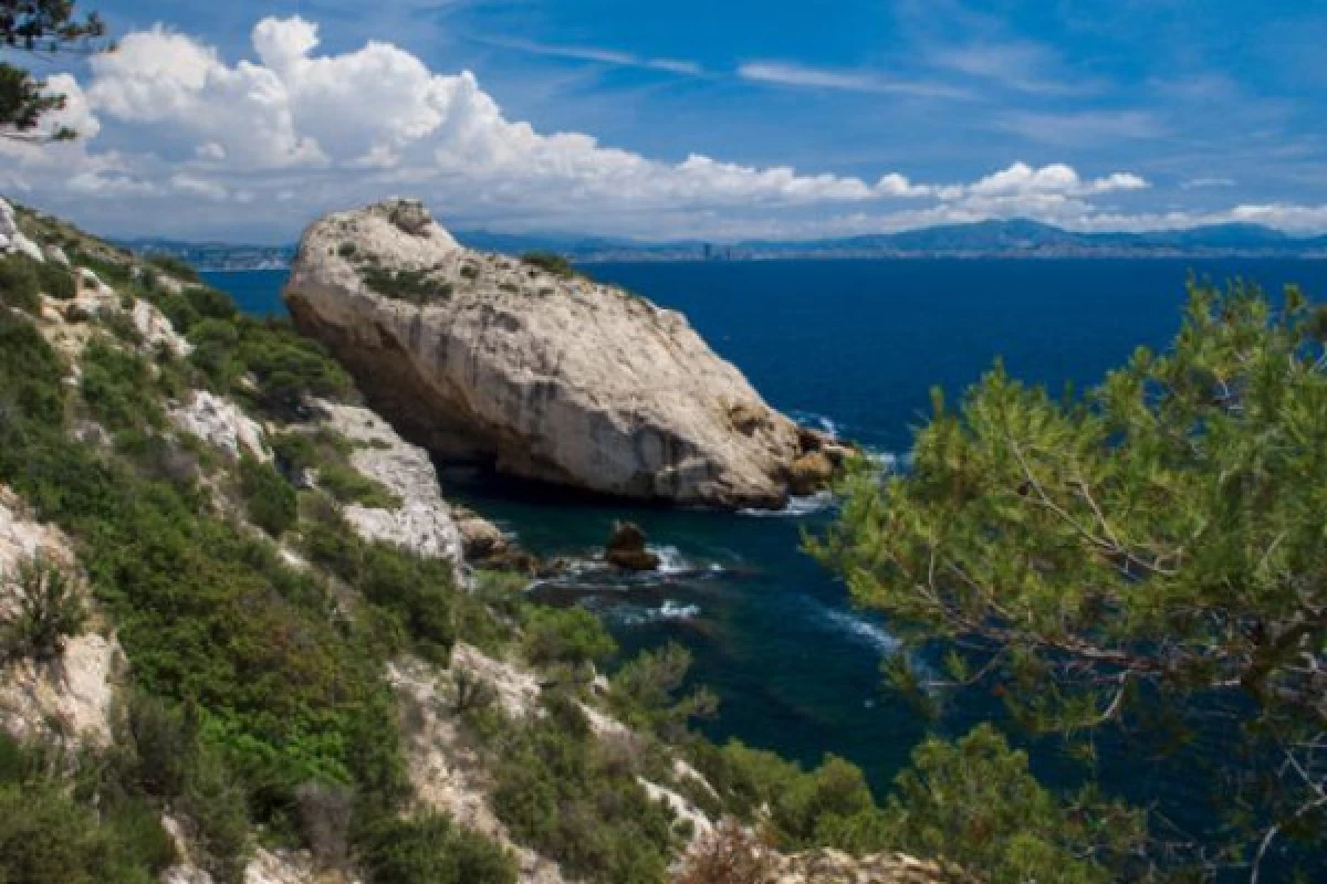 Afternoon cruise : The secret Calanques of Marin park of the Blue Coast (rvd) - Bonjour Fun