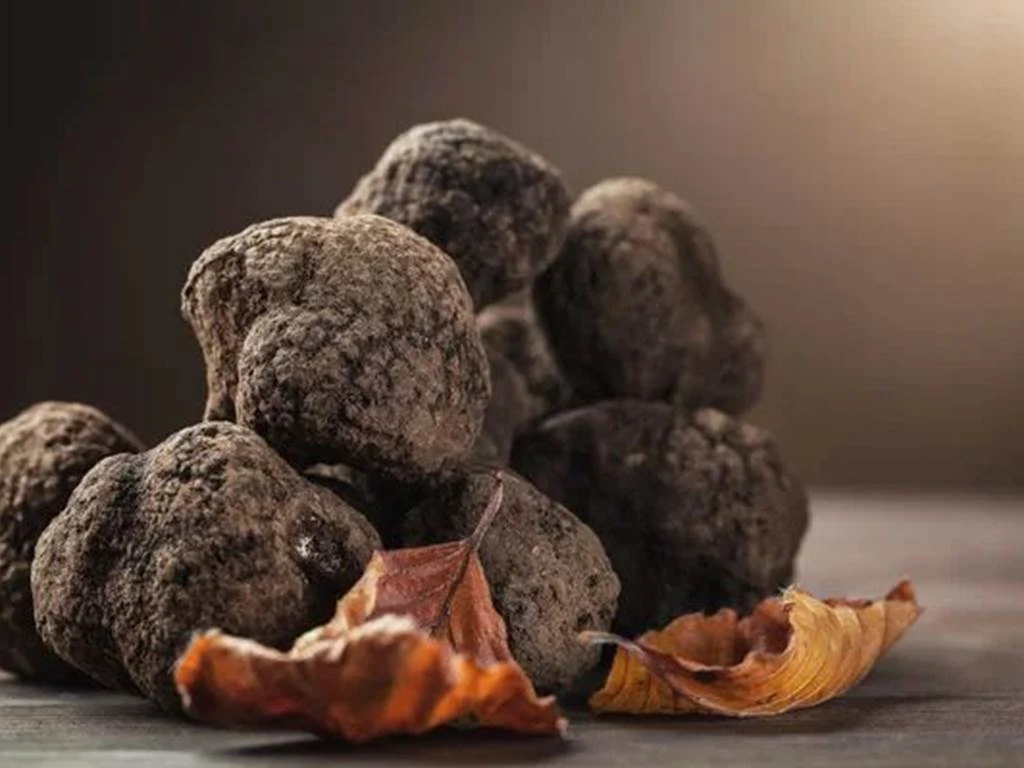 Afterwork du 29 Janvier 2026 - Bonjour Fun