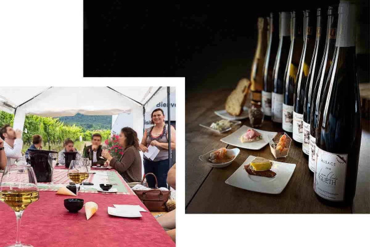 Gourmet Aperitif at the Independent Winegrower - Wines from Terroirs and Old Vines - Bonjour Fun