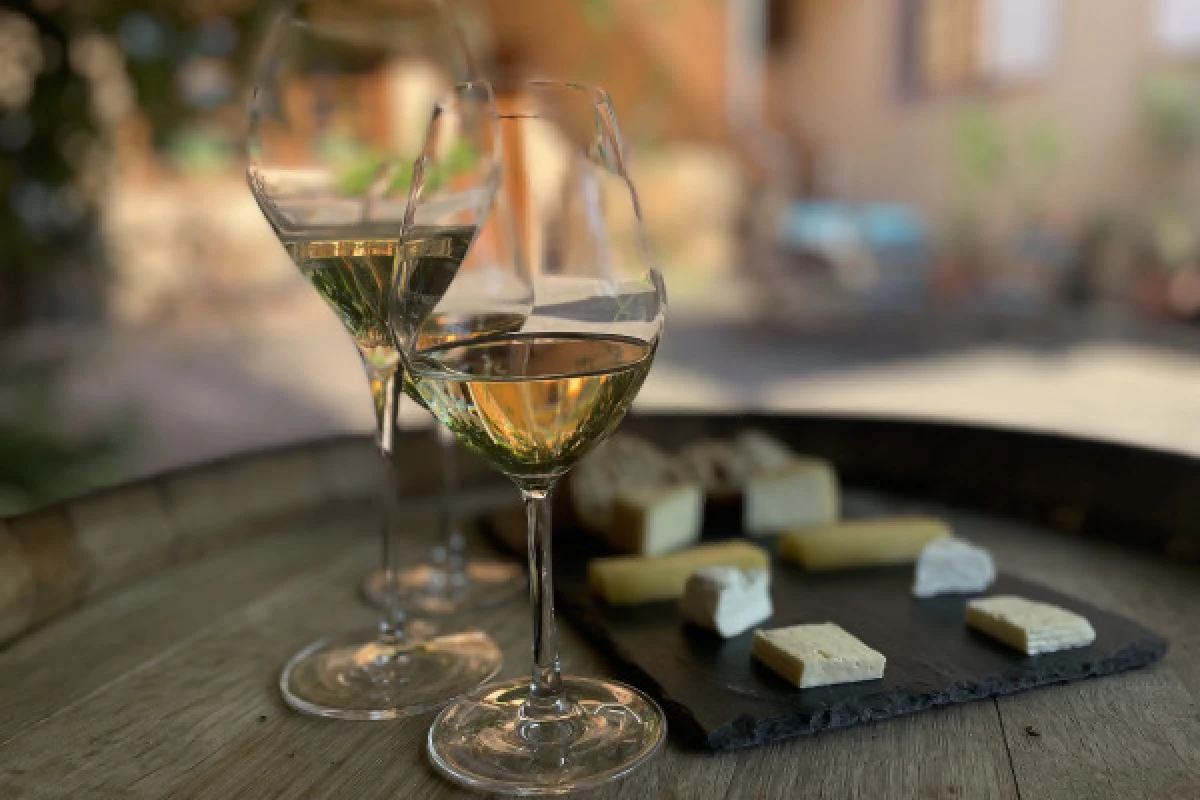 Wine and Cheese Aperitif in the Munster Valley - Bonjour Fun