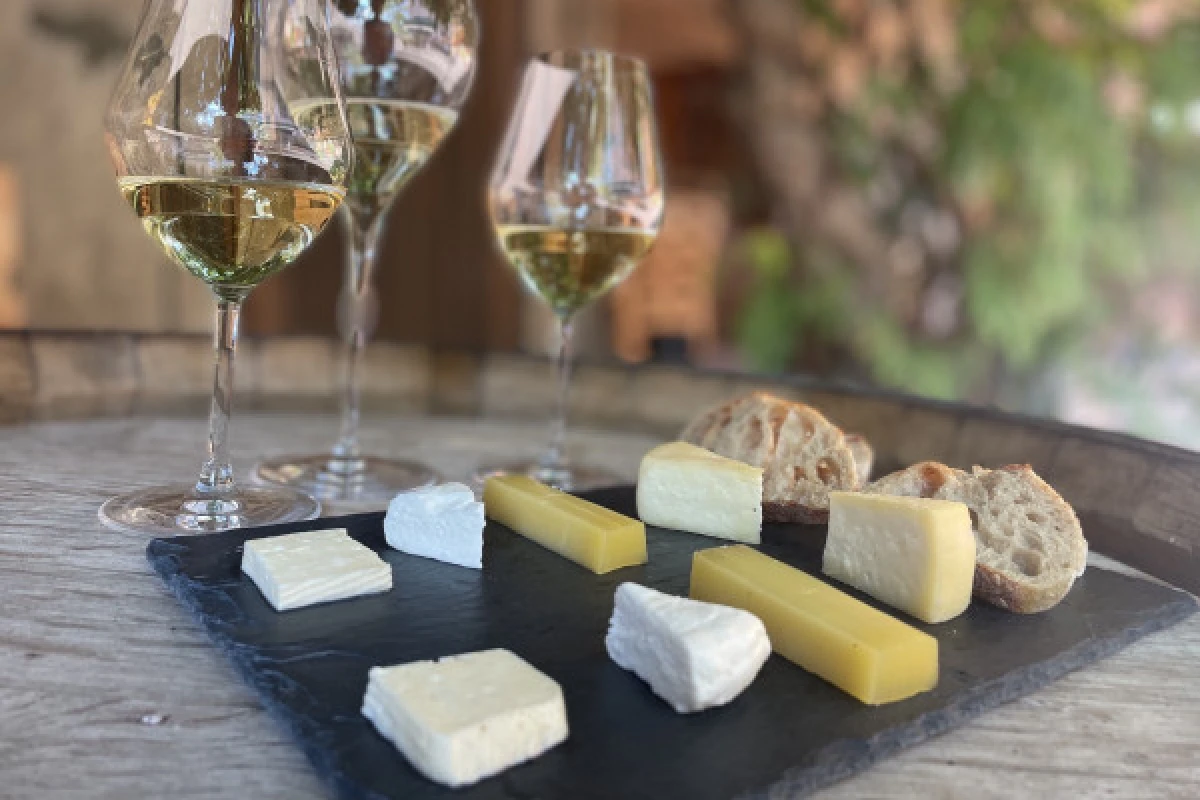 Wine and Cheese Aperitif in the Munster Valley - Bonjour Fun
