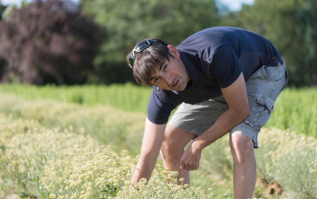 Atelier Cueillette et Distillation - Bonjour Fun