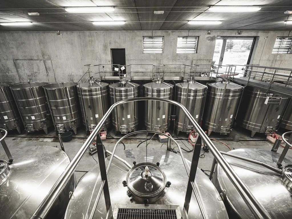 Atelier découverte de la taille - Bonjour Fun