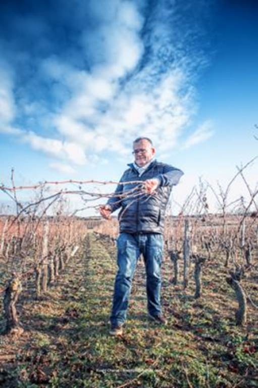 Atelier découverte de la taille - Bonjour Fun