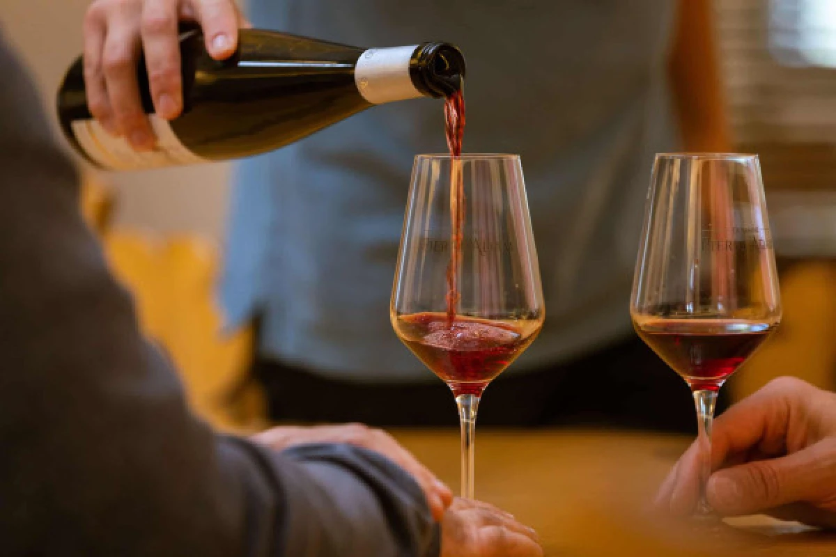 Alsace Wine Experience: Guided Tasting & Cellar Tour - Bonjour Fun