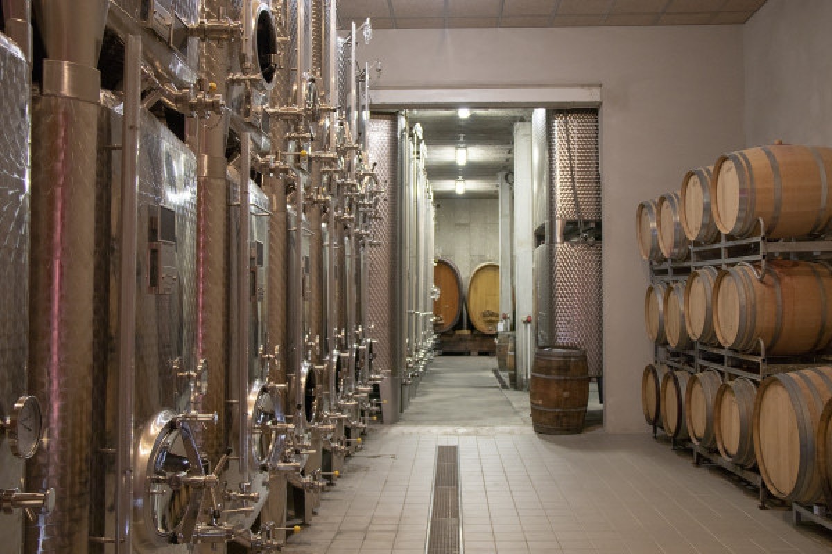 Alsace Wine Experience: Guided Tasting & Cellar Tour - Bonjour Fun